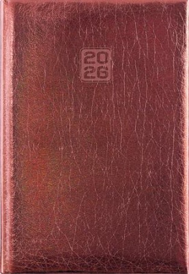 Naptár, tervező, B6, heti, DAYLINER, "Mirror", bronz